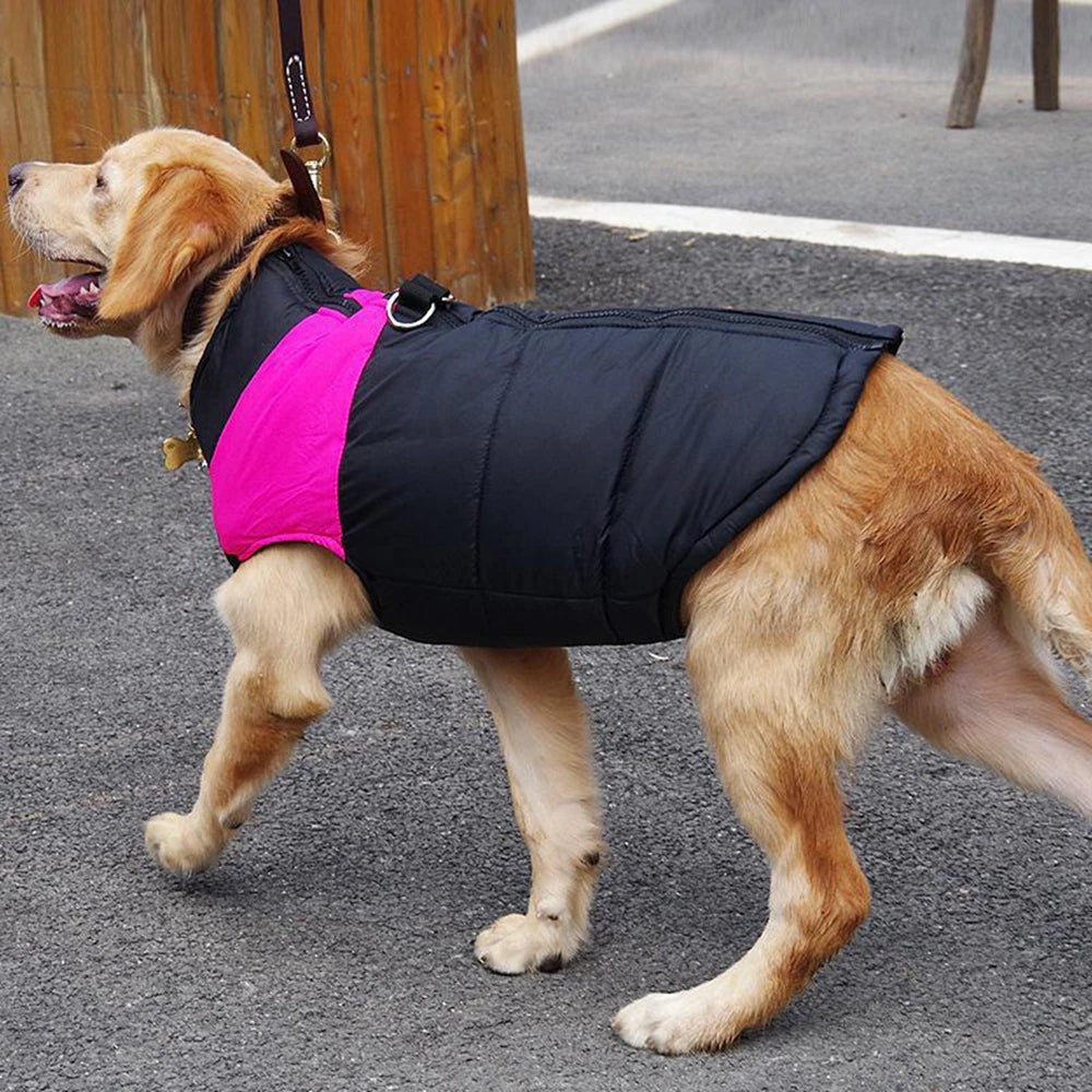 CozyPup Raincoat