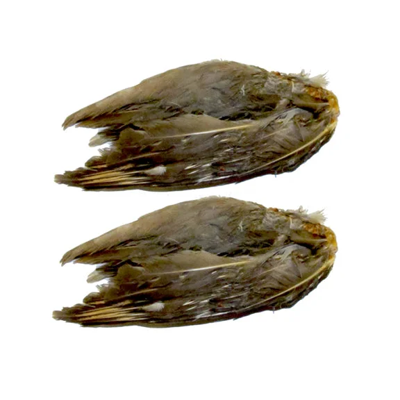 Freeze Dried Chukar Wings