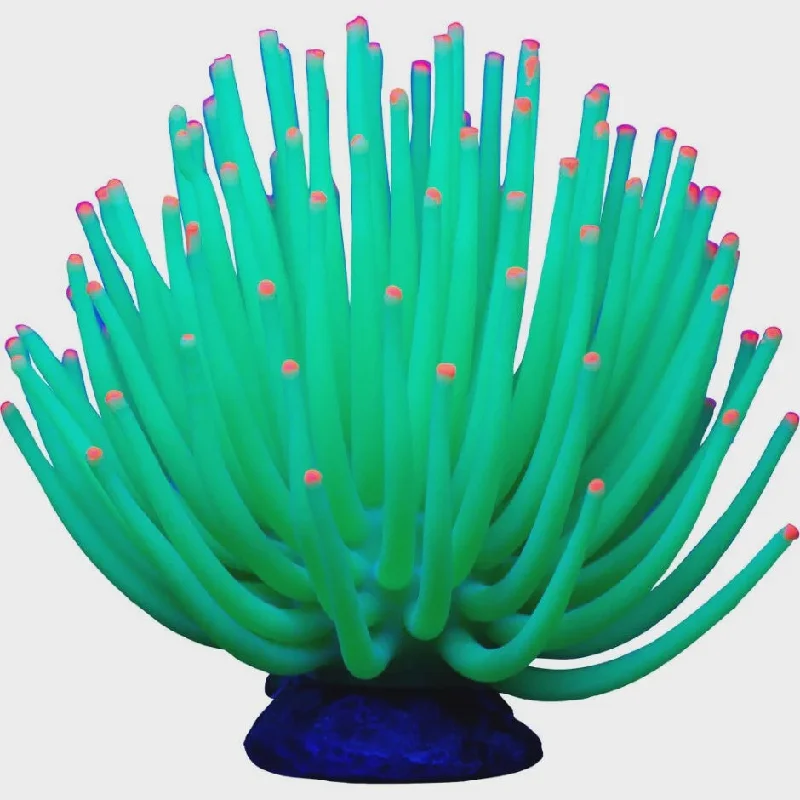 Anemone Aquarium Ornament Green LG