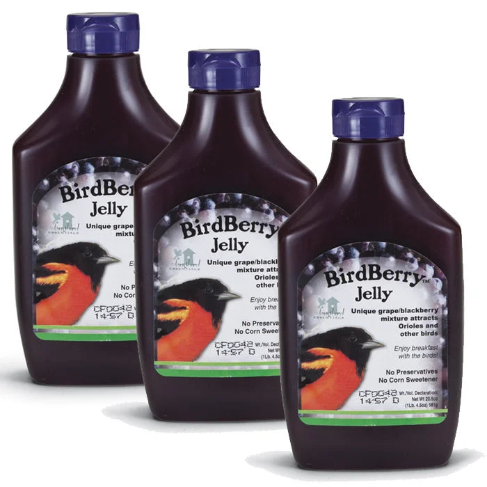 BirdBerry Jelly, Set of 3