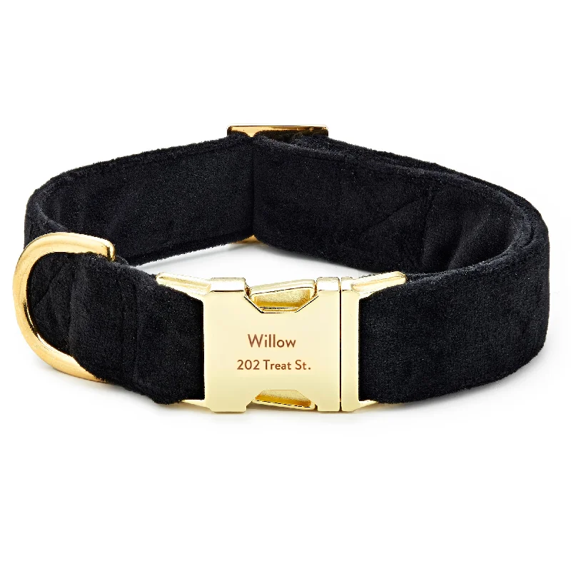 Black Velvet Dog Collar