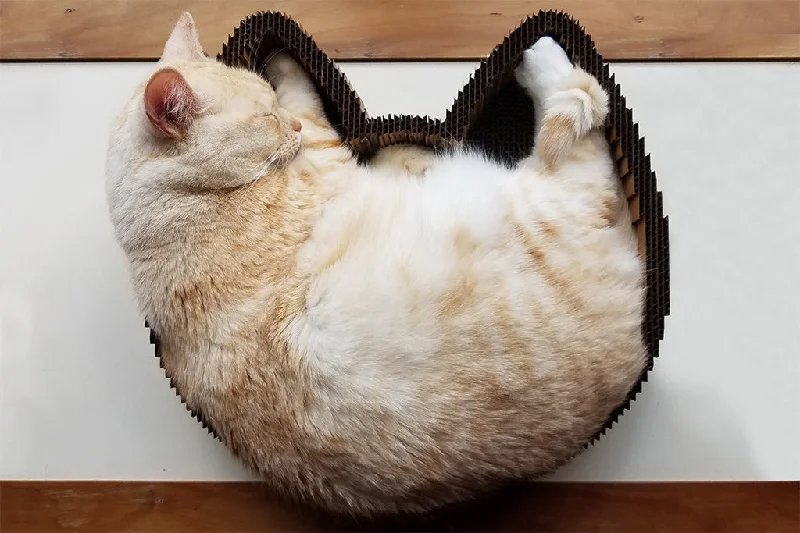 Cat Scratcher Bed