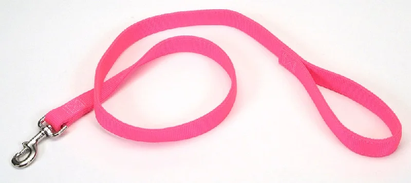 Coastal Double-Ply Nylon Dog Leash Neon Pink 1ea/1 In X 4 ft