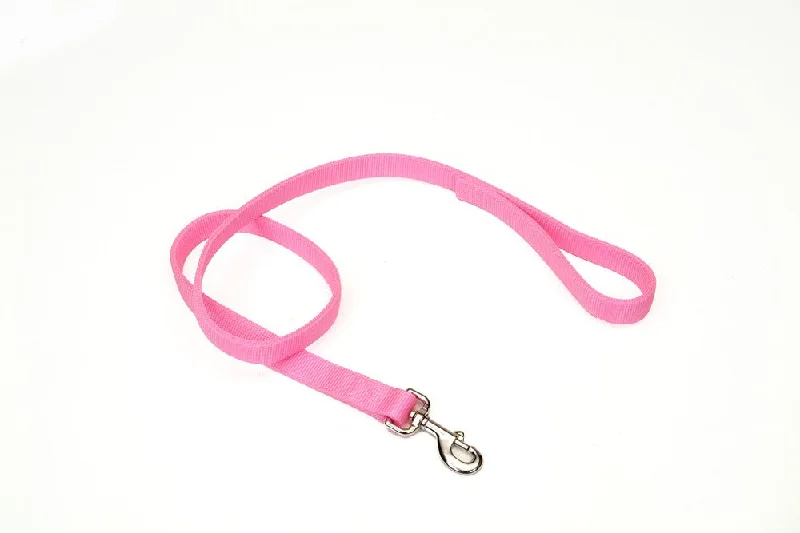 Coastal Double-Ply Nylon Dog Leash Pink Bright 1ea/1 In X 6 ft