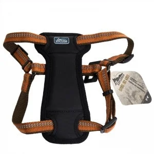 Coastal K9 Explorer 5/8 Inch Padded Harness Camp Fire Orange (12-18 Inch)