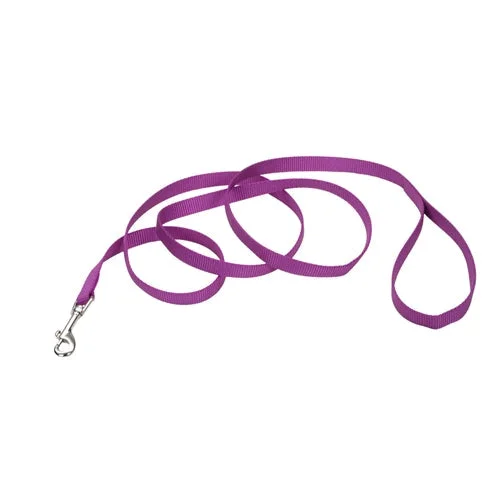 Coastal Single-Ply Nylon Leash Orchid 5/8X6Ft