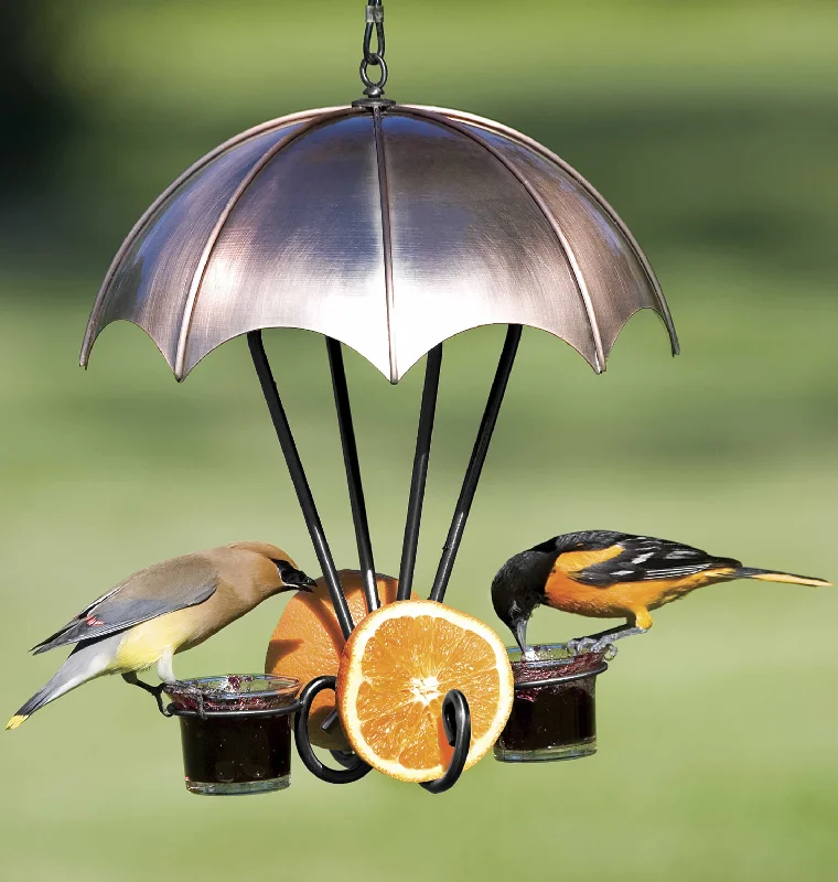 Copper Oriole Feeder