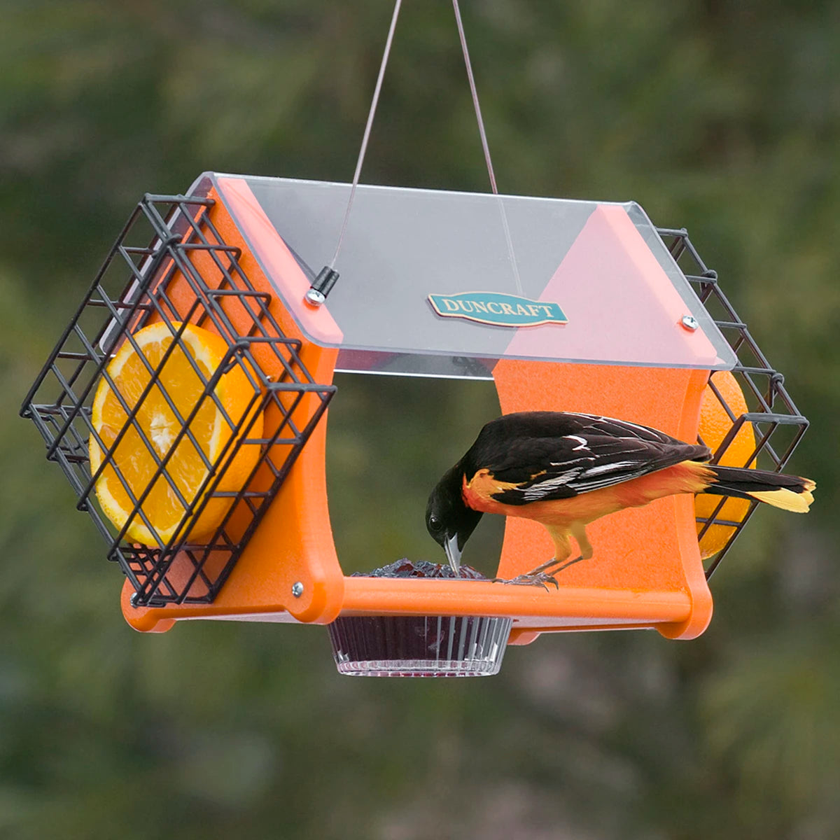 Duncraft Eco-Delight Oriole Feeder