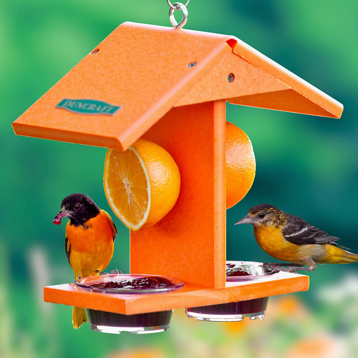 Duncraft Eco-Oriole Fruit & Jelly Feeder