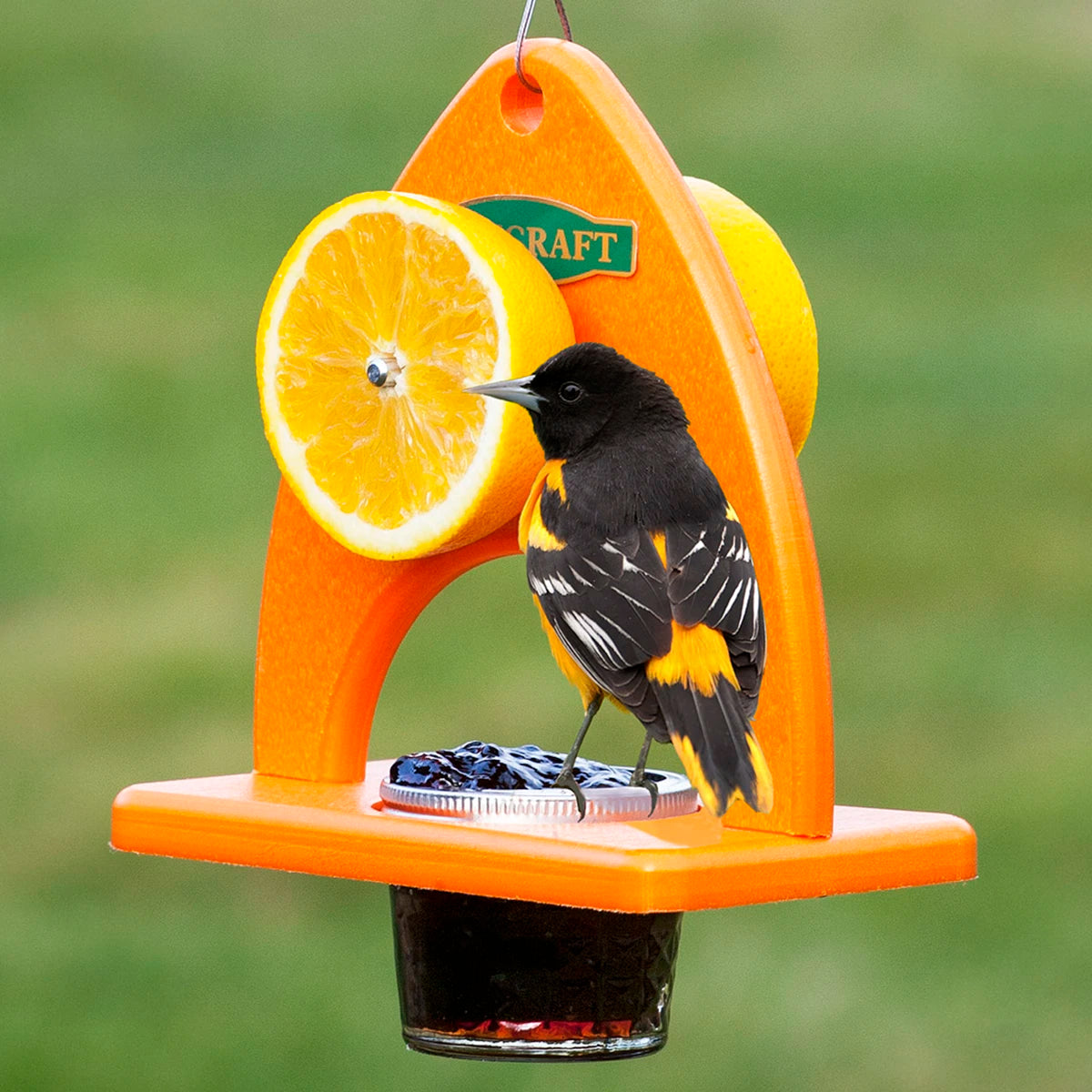 Duncraft Oriole Delight Feeder