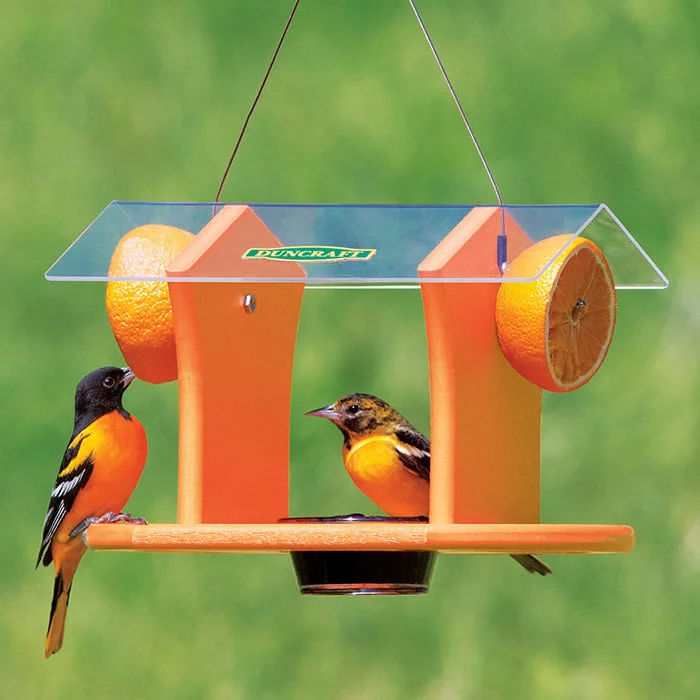 Duncraft Oriole Fruit & Jelly Cafe Feeder