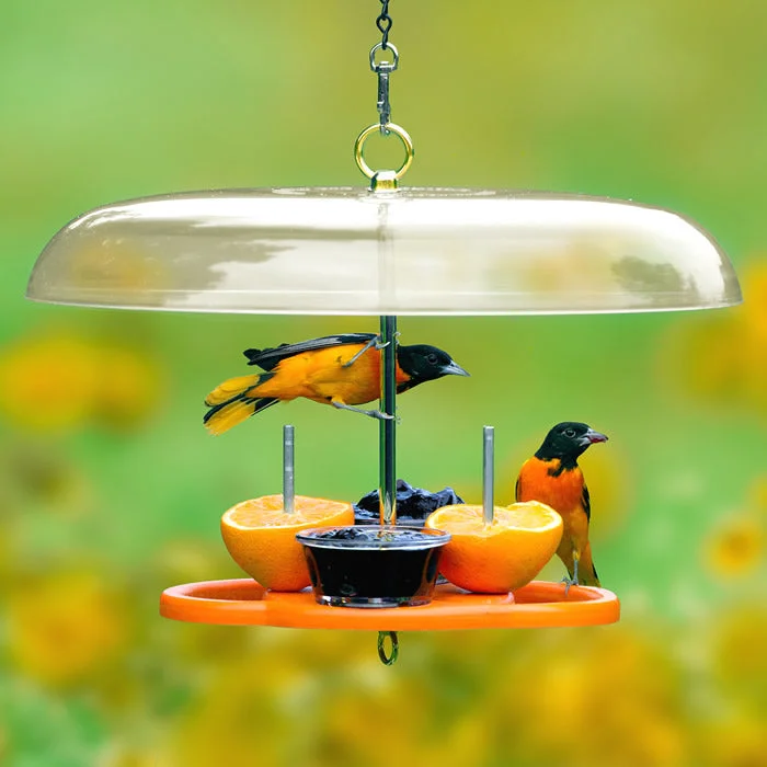 Duncraft Oriole Fruit & Jelly Feeder with Roof