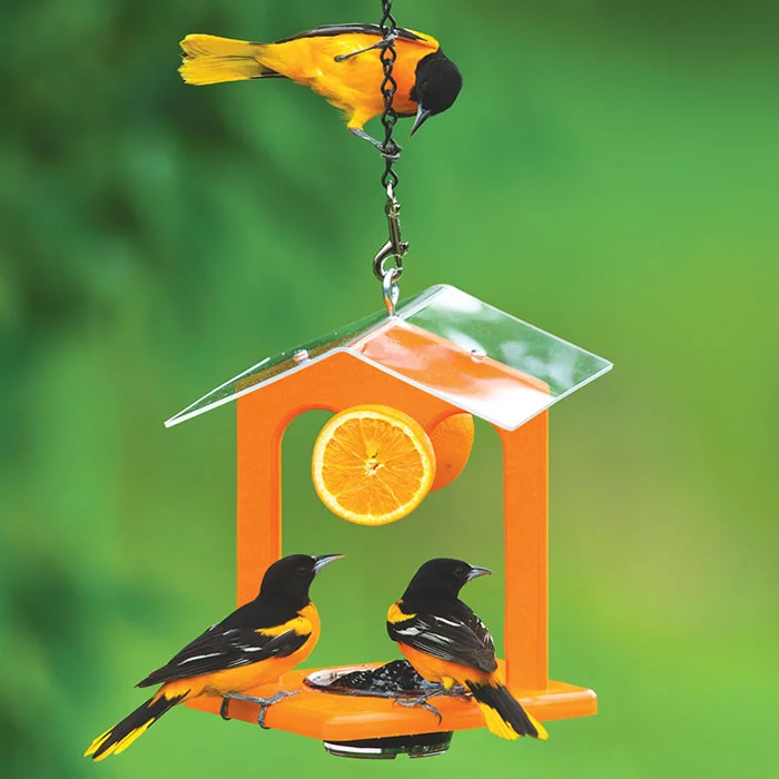 Duncraft Ultimate Oriole Jelly Feeder