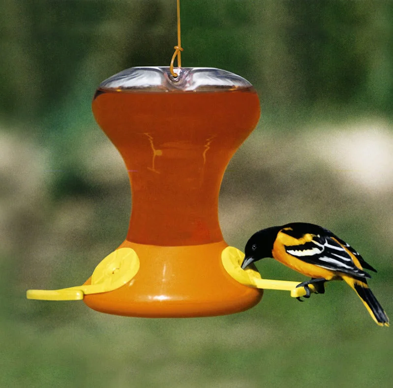 Fliteline Oriole Feeder