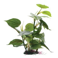 Fluval Decorative Plants, Marbled Anubias, 24cm (9.5in) with Base