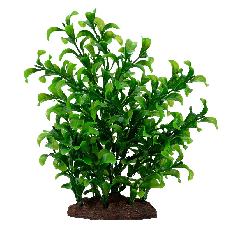 Fluval Large Bacopa Plant 8in