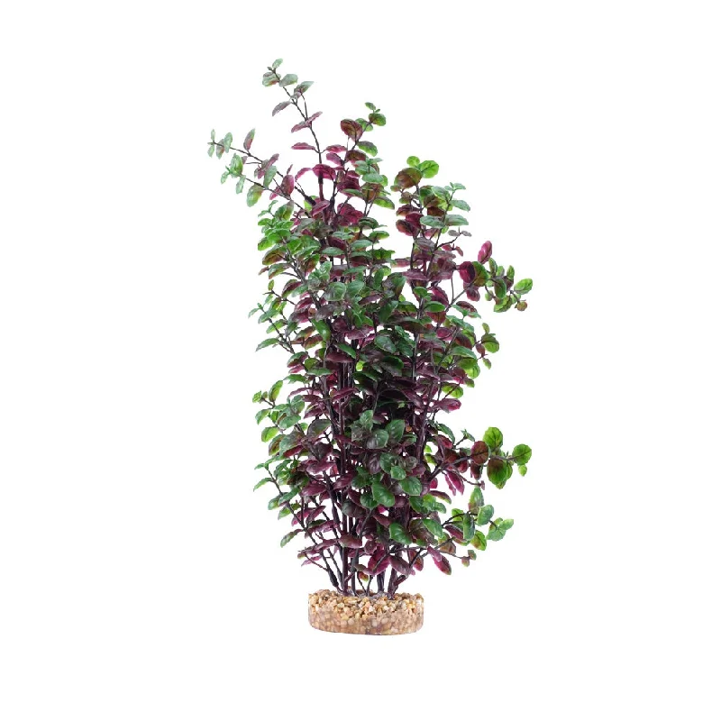 Fluval Red Bacopa Plant 14in