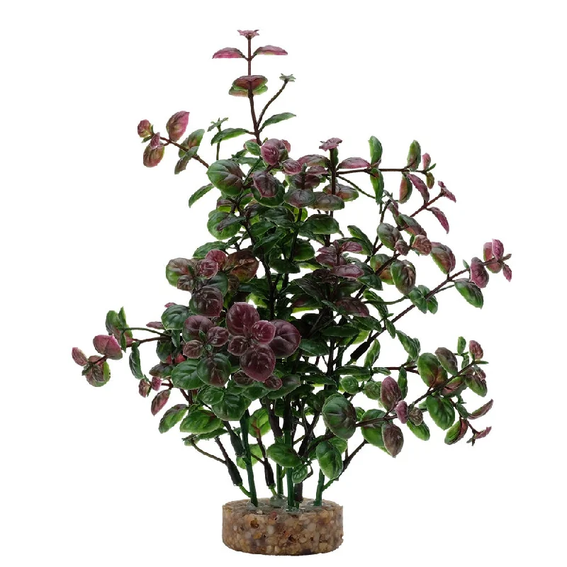 Fluval Red Bacopa Plant 8in