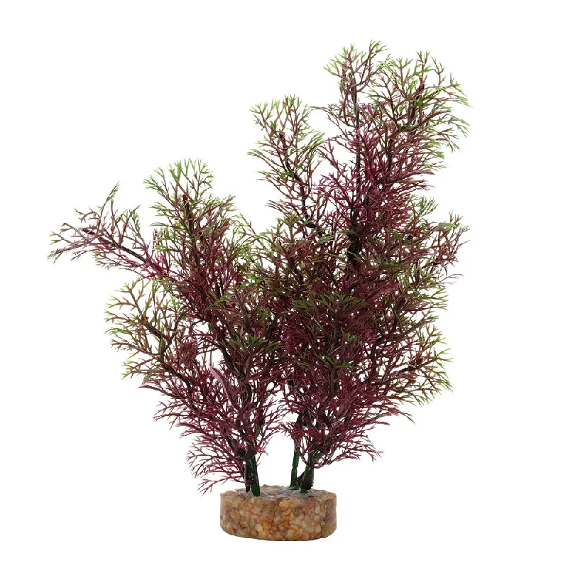 Fluval Red Green Foxtail Plant 8in