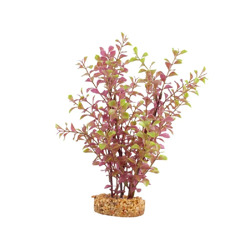 Fluval Red Ludwigia Plant 10in