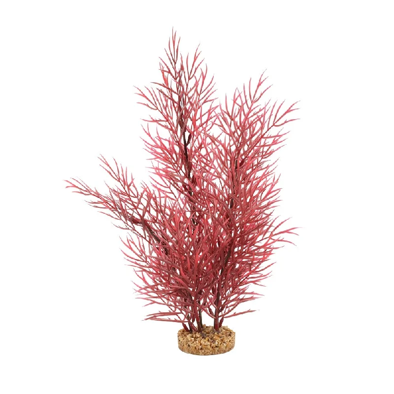 Fluval Scarlet Eichornea Plant 14in