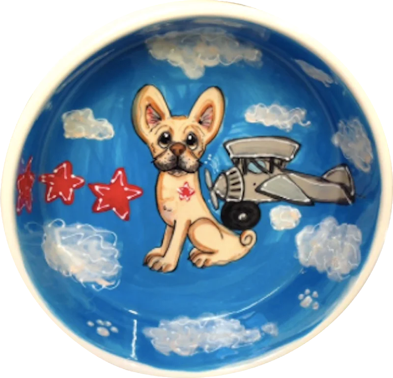 Aviation Ceramic Dog Bowl