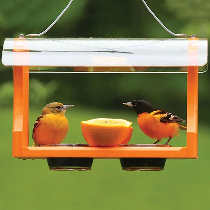 Fruit & Jelly Oriole Feeder