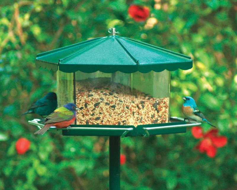 Homestead Triple Bin Bird Feeder Acrylic 3 Compartment 11-1/2 Lbs. Hunter Green