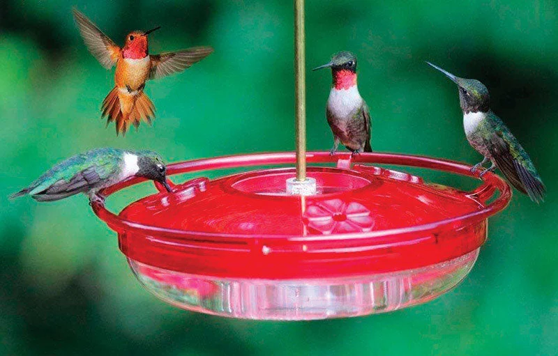 Cole's Hummer High Rise Hummingbird 8  Polycarbonate Bird Feeder 3 ports