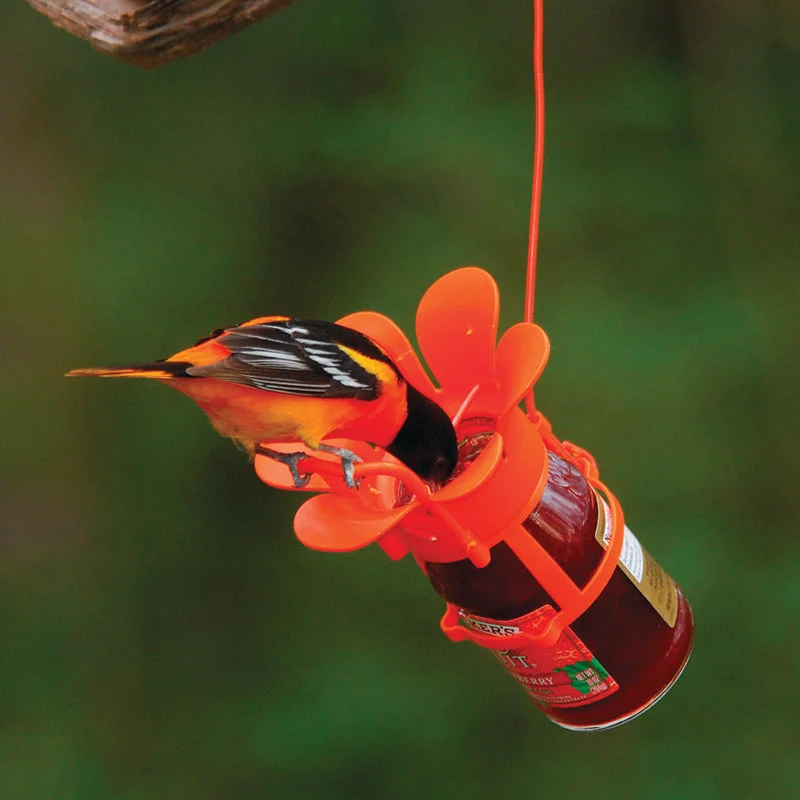 Jelly/Jam Fruit Feeder