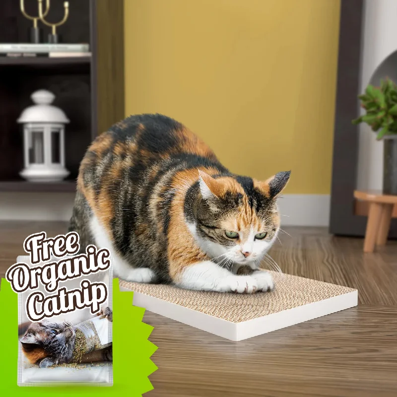 Katland Simple Cat Scratcher with Free Silvervine Catnip, White (Refill for incline scratcher & litter box)