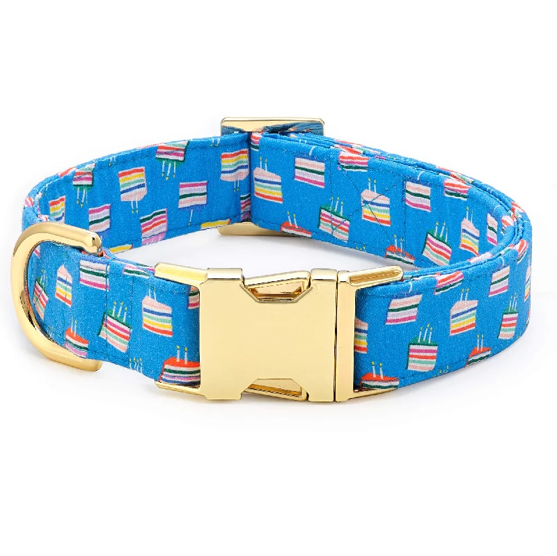 Make A Wish Dog Collar