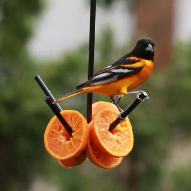 Metal Fruit Feeder