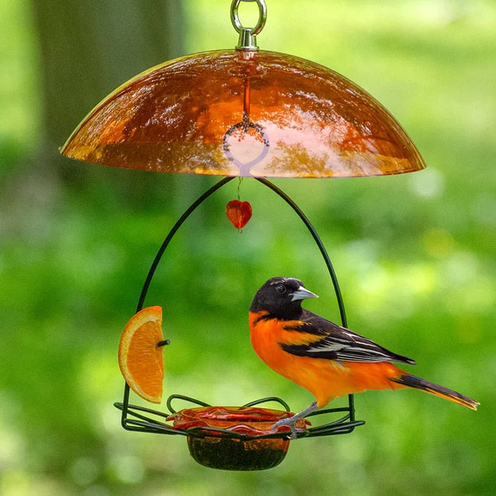 Oriole Flower Feeder with Orange Dome