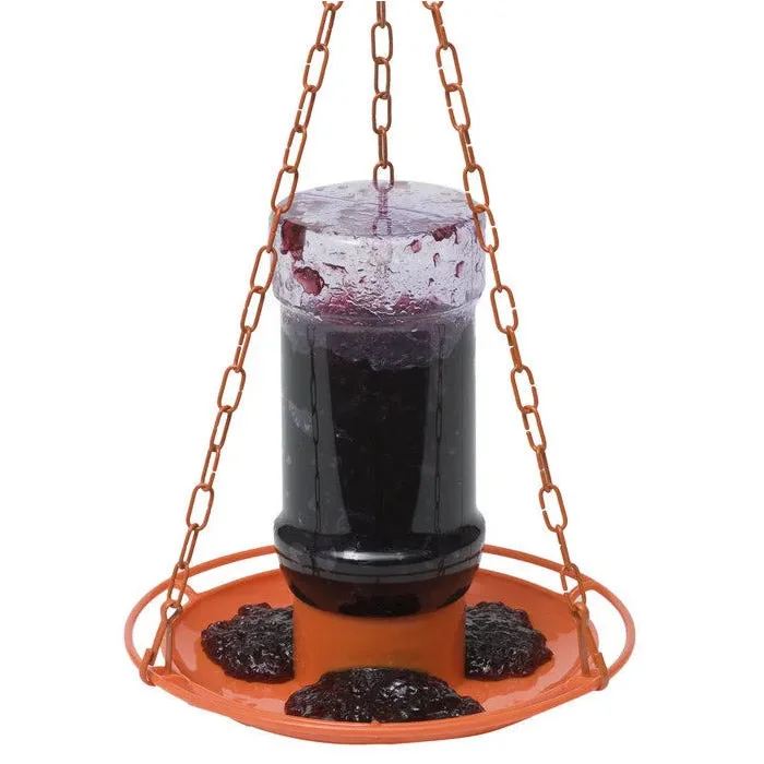 Oriole Jelly Feeder