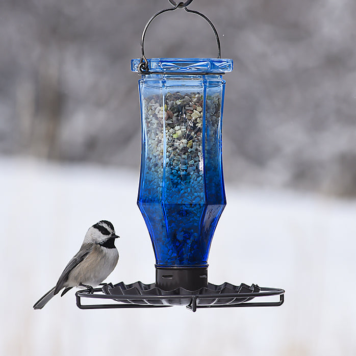 Perky-Pet® Sapphire Starburst Vintage Glass Bird Feeder