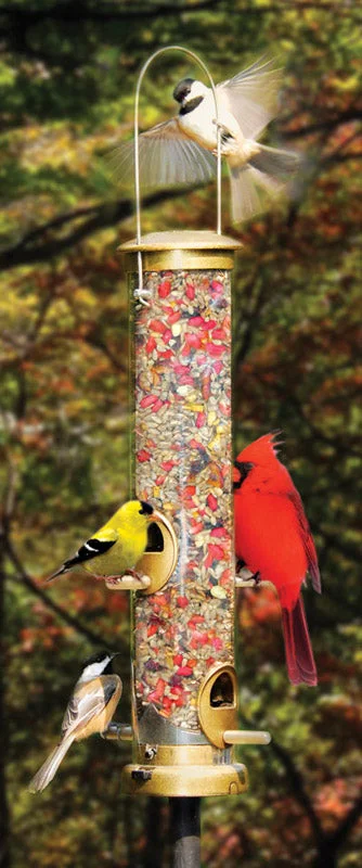 Cole's Terrific Tube Wild Bird 1.25  Polycarbonate Bird Feeder 4 ports