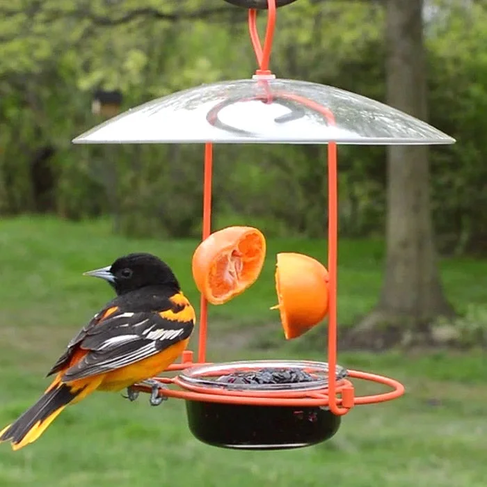 Wire Oriole Feeder